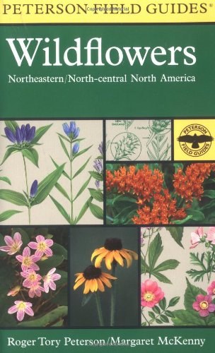 A Field Guide to Wildflowers