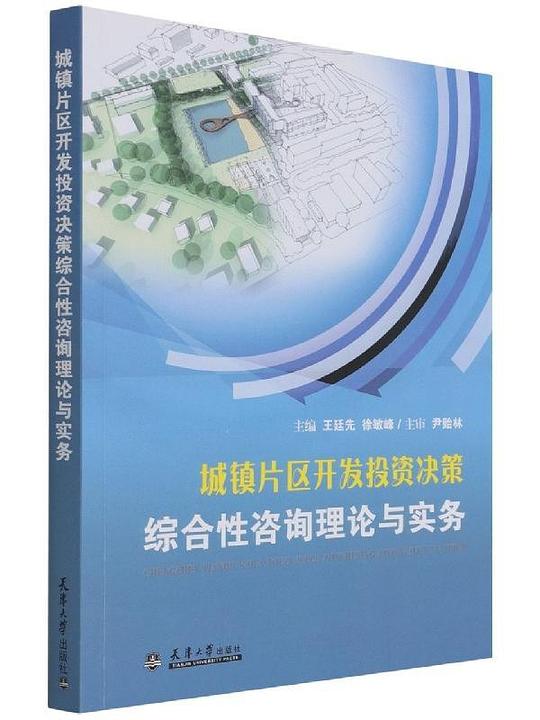 （2021版）城镇片区开发投资决策综合性咨询理论与实务