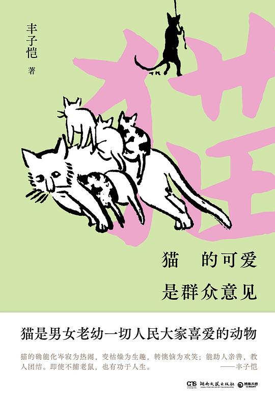 猫的可爱是群众意见